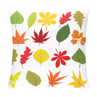 Personality Collection Of Different Autumn Leaves Pillow Covers