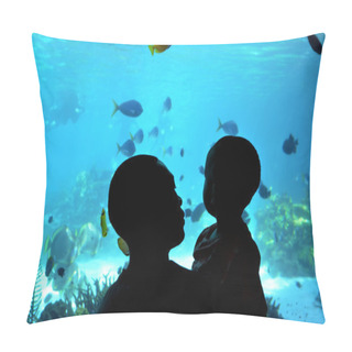 Personality  Shark Bay In Sea World Gold Coast Queensland Australia Pillow Covers