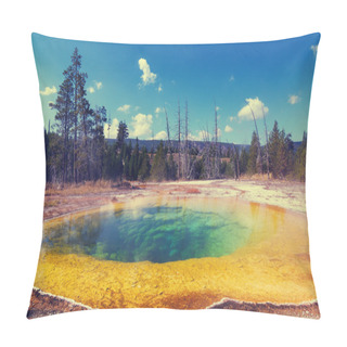 Personality  Morning Glory Pool Pillow Covers