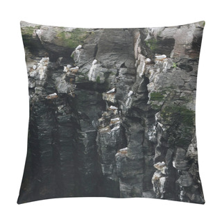 Personality  Aerial View Of Large Group Of Seagulls Perching On Rocky Cliff Pillow Covers