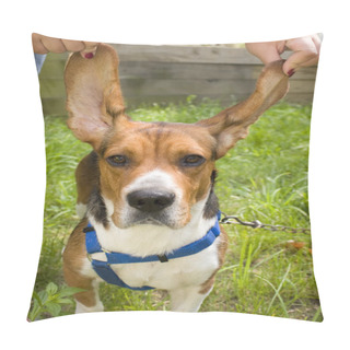 Personality  Big Eared Beagle Pillow Covers