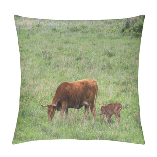 Personality  Longhorn Calf Pillow Covers