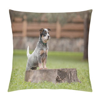 Personality  Australian Cattle Dog Puppy Outdoor. Puppies On The Backyard Pillow Covers