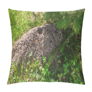 Personality  Big Anthill In The Forest Under The Spruce. Big Anthill In The Forest Under A Tree Pillow Covers
