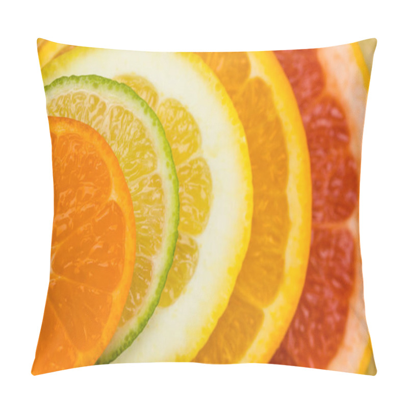 Personality  Citrus Fruits Slices Pillow Covers