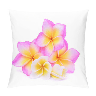 Personality  Single Pink Frangipani (plumeria) Tropical Flower With Water Dro Pillow Covers