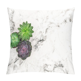 Personality  Succulent Marble Background Floral Flat Lay Pillow Covers