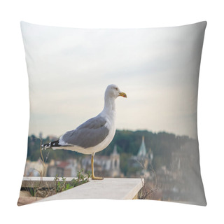 Personality  Selective Focus Of Wild Gull Against Cloudy Sky  Pillow Covers