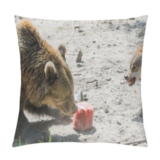 Personality  European Brown Bear Pillow Covers