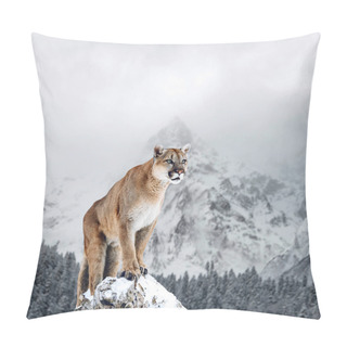 Personality  Portrait Of A Cougar, Mountain Lion, Puma, Panther, On A Fallen Tree, Winter Mountains Pillow Covers