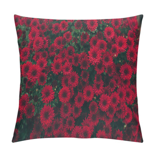 Personality  Red Flowers Of Chrysanthemums Pillow Covers