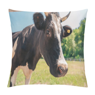 Personality  Cow On Sunny Pasture Pillow Covers