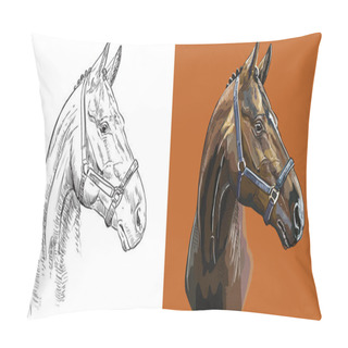 Personality  Realistic Head Of Sports Thoroughbred Horse. Vector Black And White And Colorful Isolated Illustration Of Horse. For Decoration, Coloring Book, Design, Prints, Posters, Postcards, Stickers, Tattoo, T-shirt Pillow Covers