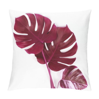 Personality  Art Colored Monstera Leaves On A White Background.abstract. Top View.copy Space Pillow Covers