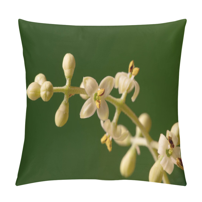 Personality  Olive tree flowers pillow covers