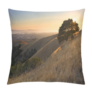 Personality  Beautiful View Of East Bay And San Francisco Bay In Summer Pillow Covers