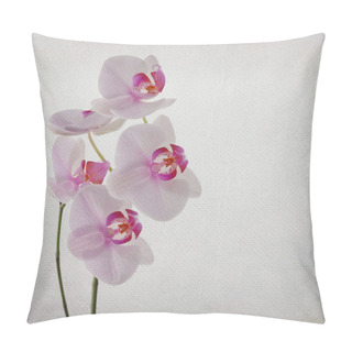 Personality  Vintage Card With Orchid Flower Pillow Covers