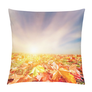 Personality  Autumn, Fall Landscape. Colorful Leaves, Sunset Sky Pillow Covers