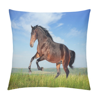 Personality  Beautiful Brown Horse Running Gallop Pillow Covers