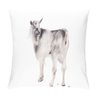 Personality  Gray Goat On White Pillow Covers