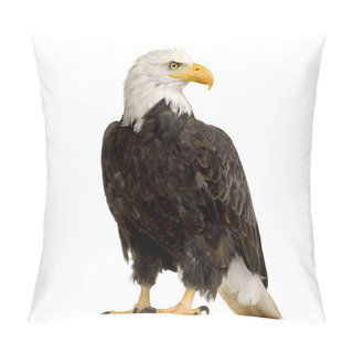 Personality  Bald Eagle (22 Years) - Haliaeetus Leucocephalus Pillow Covers