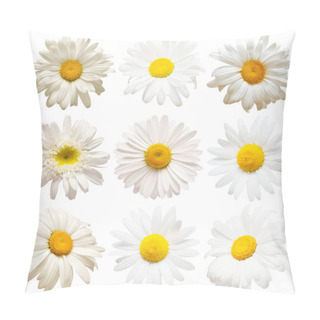 Personality  Collection Head Daisies Flowers Isolated On White Background. Pe Pillow Covers