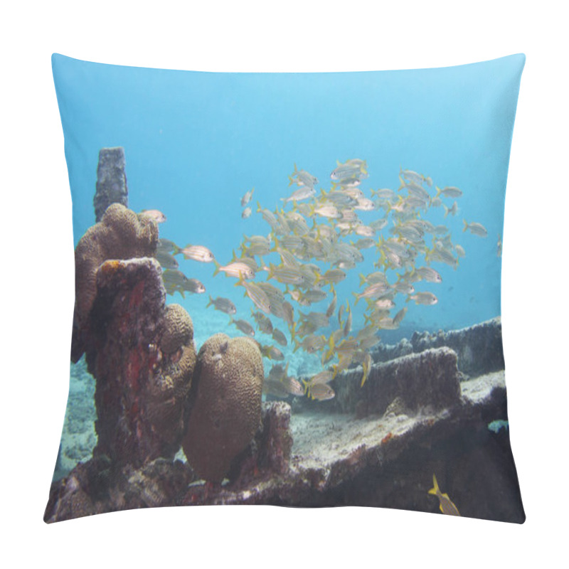 Personality  Caribbean Underwater 03 Pillow Covers