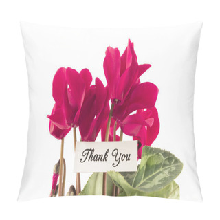 Personality  Thank You Card With Bouquet Of Cyclamens Pillow Covers