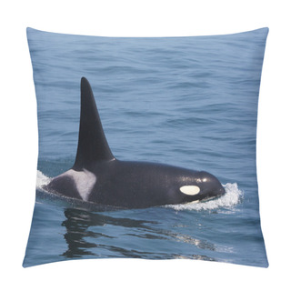 Personality  Killer Whale Male On Water Pillow Covers