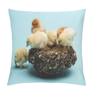 Personality  Cute Small Fluffy Chicks In Nest On Blue Background Pillow Covers