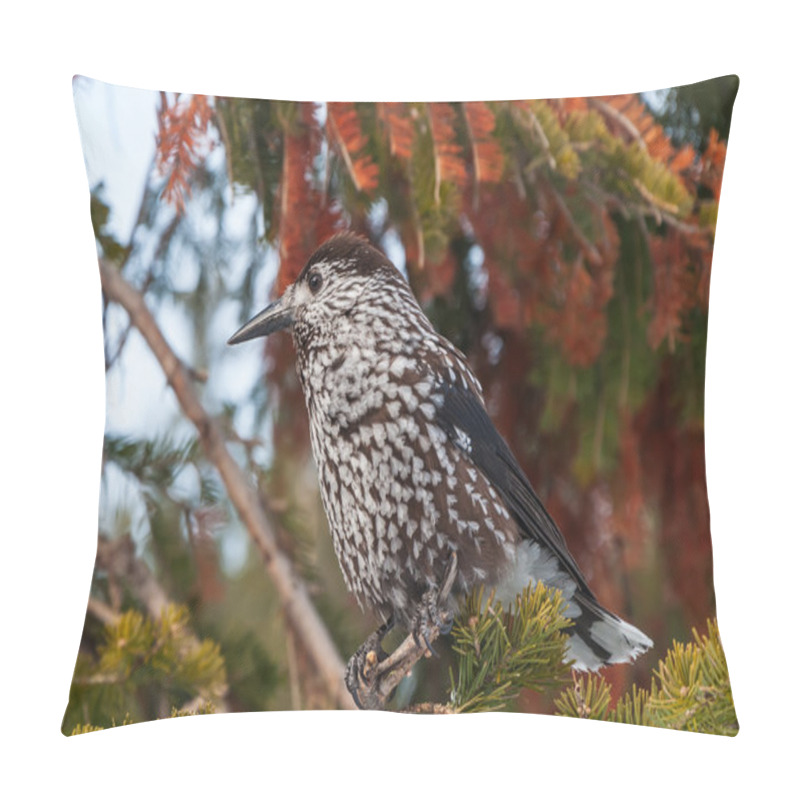 Personality  Nutcracker Bird Branch Cedar Pillow Covers