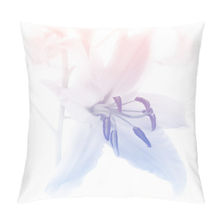 Personality  Lily Flower Background, Pastel Blue And Pink Colors Pillow Covers