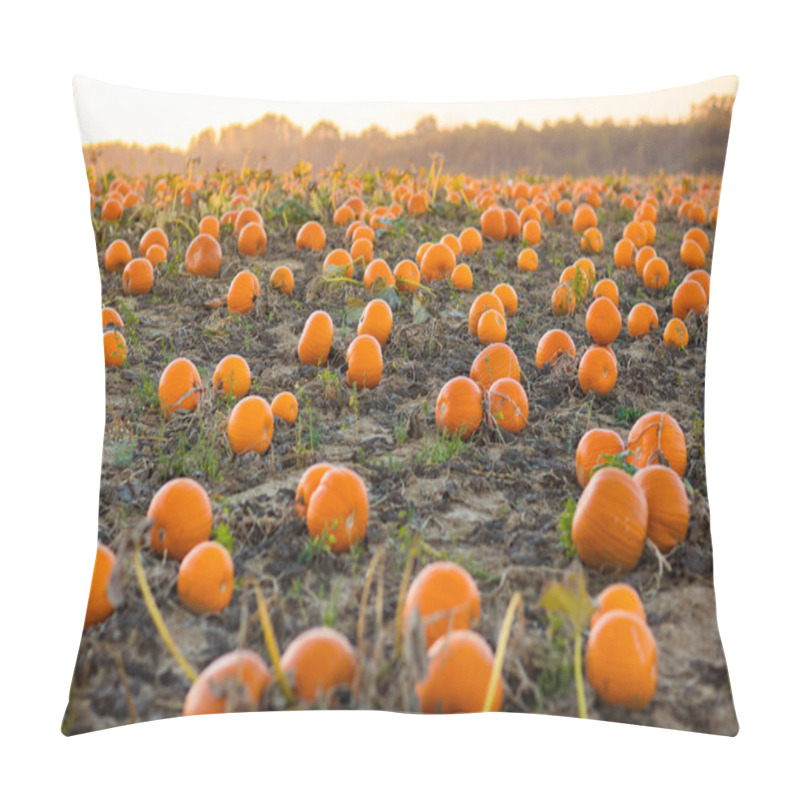 Personality  Beautiful Halloween pumpkin field pillow covers