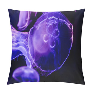 Personality  Closeup Of Several Beautiful Moon Jellyfish Pillow Covers