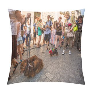 Personality  Parade Costumed Sausage Dogs Pillow Covers
