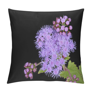Personality  Blazing Star Flower Pillow Covers