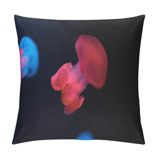 Personality  Selective Focus Of Blue Blubber Jellyfishes With Neon Lights On Black Background Pillow Covers