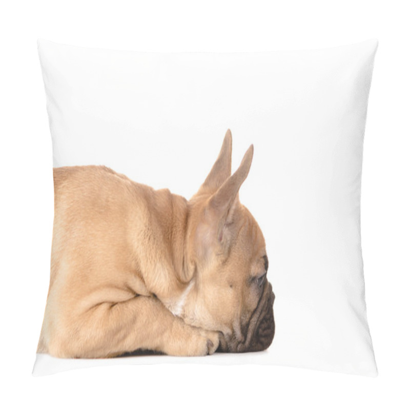 Personality  French Bulldog Before White Background Pillow Covers