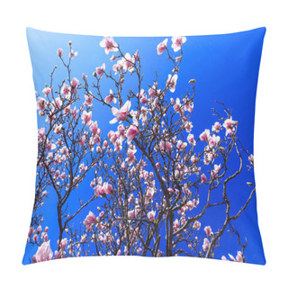 Personality  Blooming Magnolia Flowers In Spring Season. Pink Magnolia Tree Blossom On Background Of Blue Sky. Beautiful Spring Magnolia Flower On A Sunny Day. Pink Plants In Spring Time.    Pillow Covers