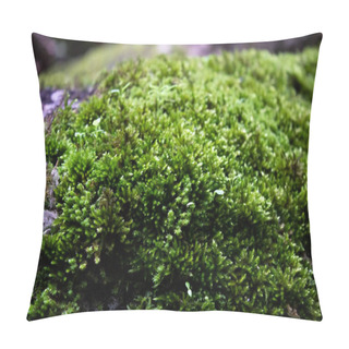 Personality  Green Moss After Rain In Autumn Pillow Covers