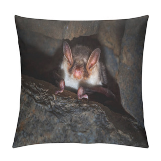 Personality  Microbats Constitute The Suborder Microchiroptera Within The Order Chiroptera - Bats. Pillow Covers