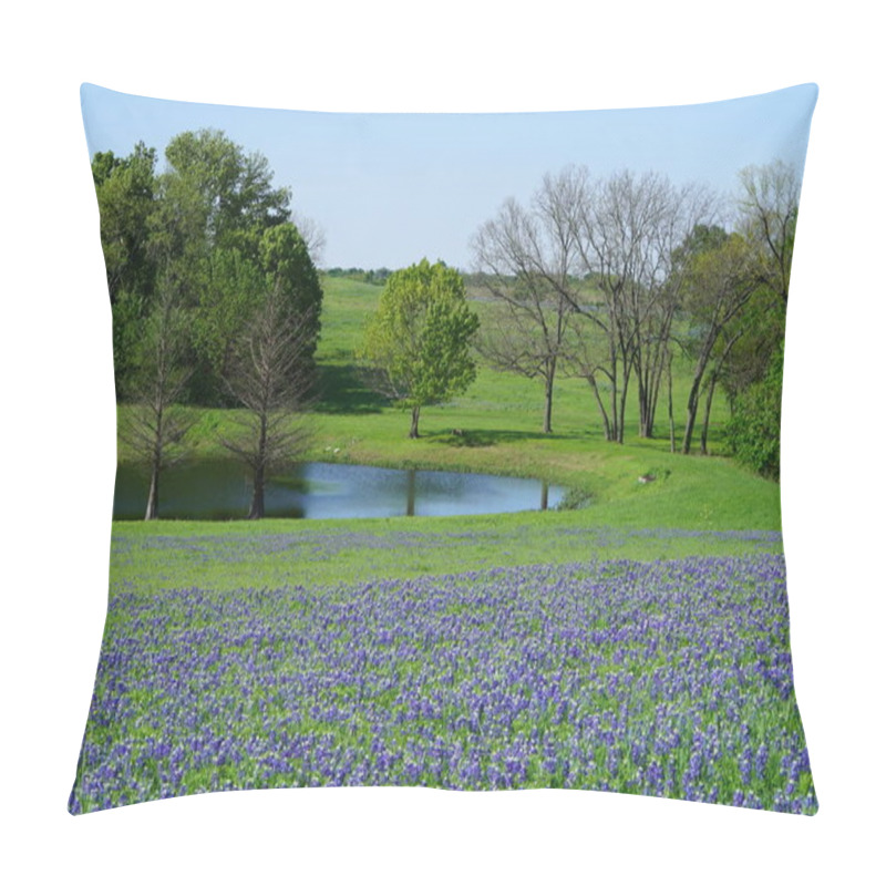 Personality  Beautiful Texas Bluebonnets blooming during spring season along countryside with small pond pillow covers