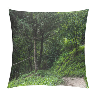 Personality  Scenic Shot Of Rural Pathway In Beautiful Green Forest On Hill Pillow Covers