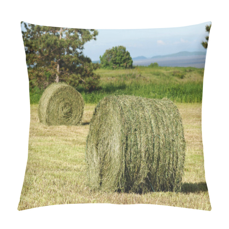 Personality  Two Hay Rolls In Field Pillow Covers