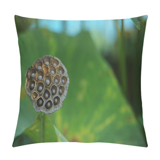 Personality  Dry Lotus,lotus Flower Pillow Covers