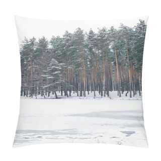Personality  Frozen Lake And Trees In Snowy Park Pillow Covers