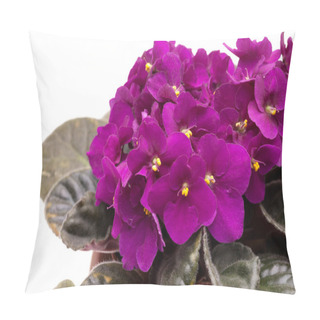 Personality  Nice African Violet (SaintPaulia) Pillow Covers