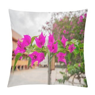Personality  A Peaceful Courtyard Adorned With Vibrant Pink Bougainvillea Blooms Pillow Covers