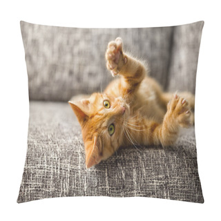 Personality  Little Cat Playing Pillow Covers