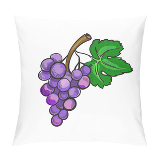 Personality  Hand Drawn Doodle Grapes Pillow Covers